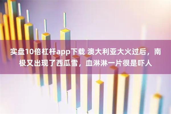 实盘10倍杠杆app下载 澳大利亚大火过后，南极又出现了西瓜雪，血淋淋一片很是吓人