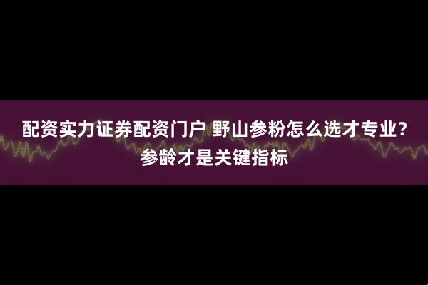配资实力证券配资门户 野山参粉怎么选才专业？参龄才是关键指标